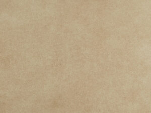 Picard - 102