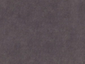 Vermeer - 271