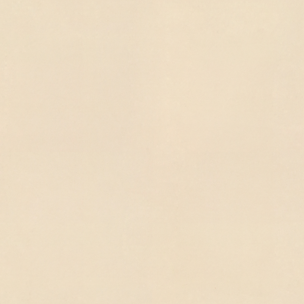 vermeer-50
