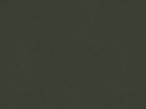 Mudi - 43